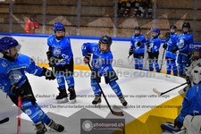 ref. photo 3540497