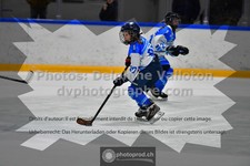 ref. photo 3540500