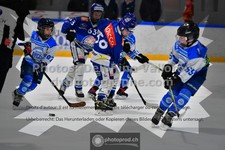 ref. photo 3540502