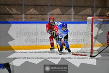 ref. photo 3540504