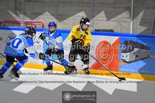 ref. photo 3540516