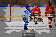 ref. photo 3540521