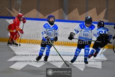ref. photo 3540522