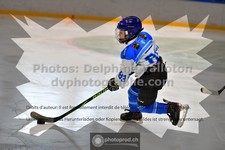 ref. photo 3540531
