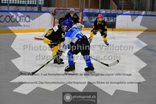 ref. photo 3540532