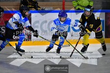 ref. photo 3540534