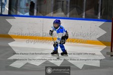 ref. photo 3540535