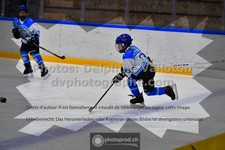 ref. photo 3540537