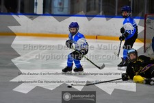 ref. photo 3540538