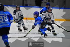ref. photo 3540552