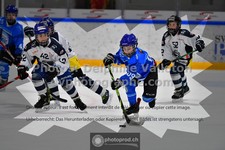 ref. photo 3540557