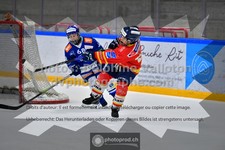 ref. photo 3540602