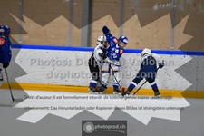 ref. photo 3540605