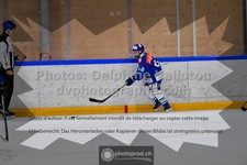 ref. photo 3540606