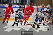 ref. photo 3540617