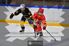 ref. photo 3540630