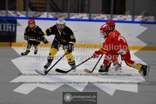 ref. photo 3540632