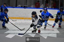 ref. photo 3540646