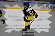 ref. photo 3540702