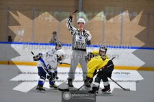 ref. photo 3540731
