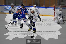 ref. photo 3540740