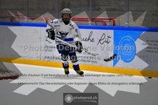 ref. photo 3540741