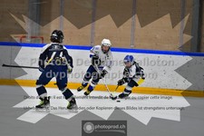 ref. photo 3540742