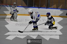 ref. photo 3540745