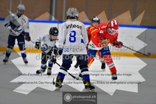 ref. photo 3540752