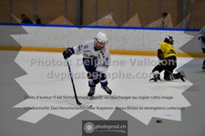 ref. photo 3540783