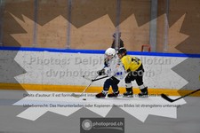 ref. photo 3540801