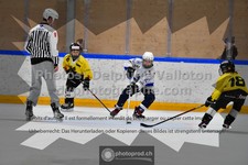 ref. photo 3540802