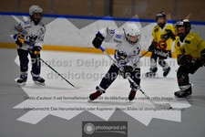 ref. photo 3540806