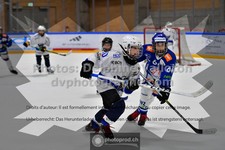 ref. photo 3540810