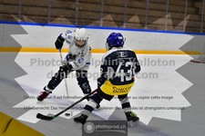 ref. photo 3540811