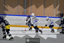 ref. photo 3540815