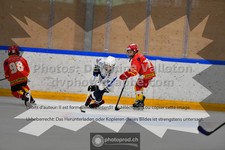 ref. photo 3540818