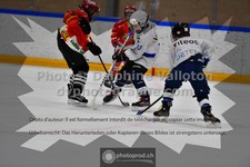 ref. photo 3540819