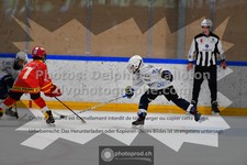 ref. photo 3540826