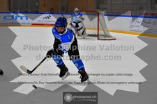 ref. photo 3540864