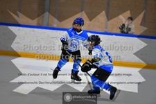 ref. photo 3540870