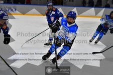 ref. photo 3540881