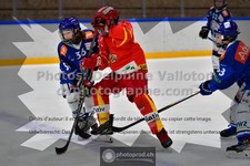 ref. photo 3540994