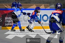 ref. photo 3541004