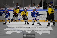 ref. photo 3541008