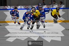 ref. photo 3541009