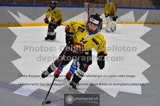 ref. photo 3541011