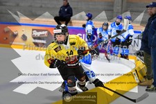 ref. photo 3541012