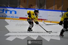 ref. photo 3541015