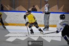 ref. photo 3541017